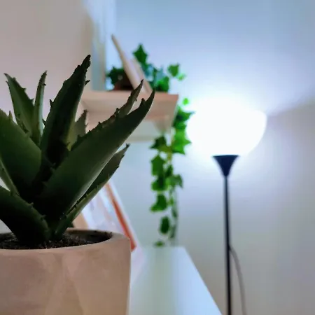 Apartment Idea Self Check-in